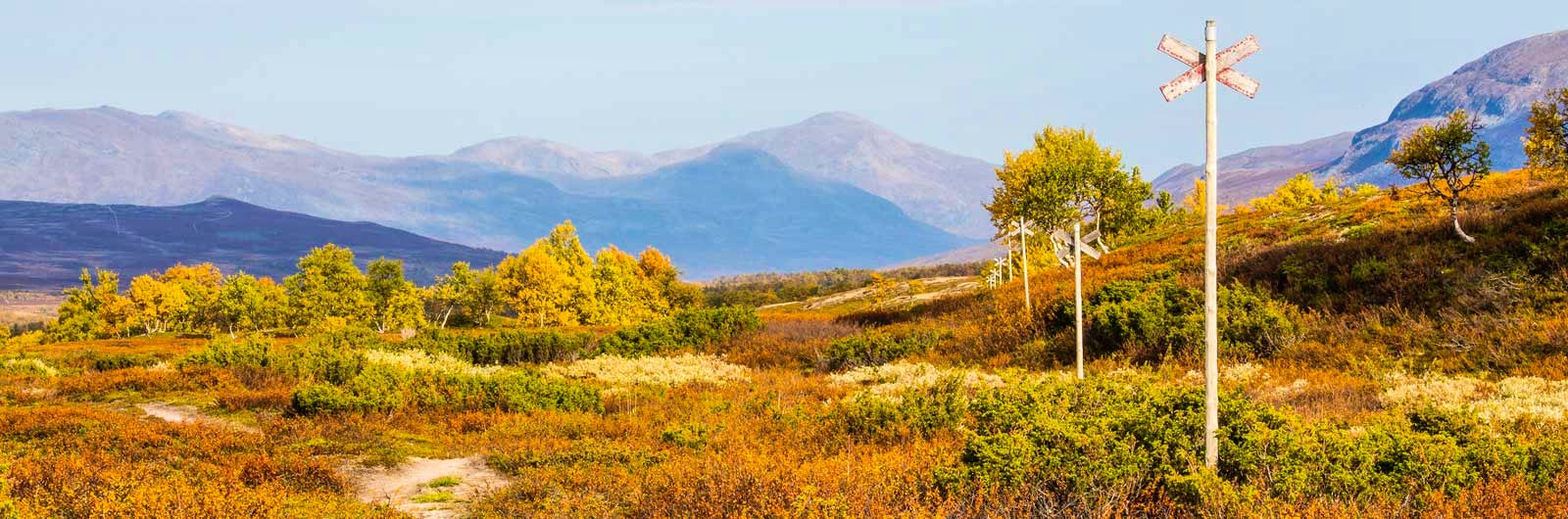 Walking trail in autumn colours