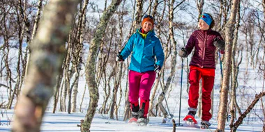Snowshoes in abisko