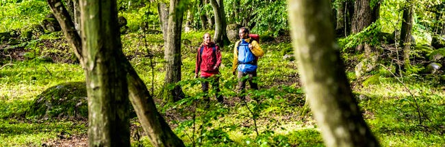 Colourfully dressed hikers in the woods