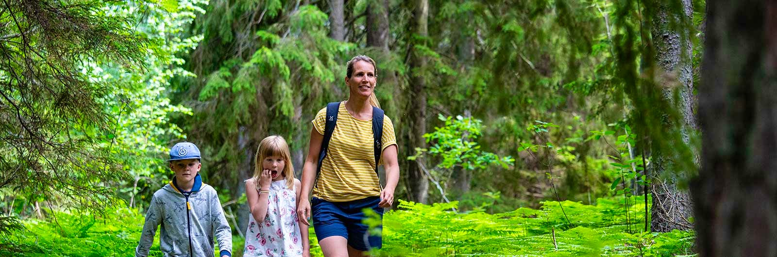 Family in woods on STF Signature Trail