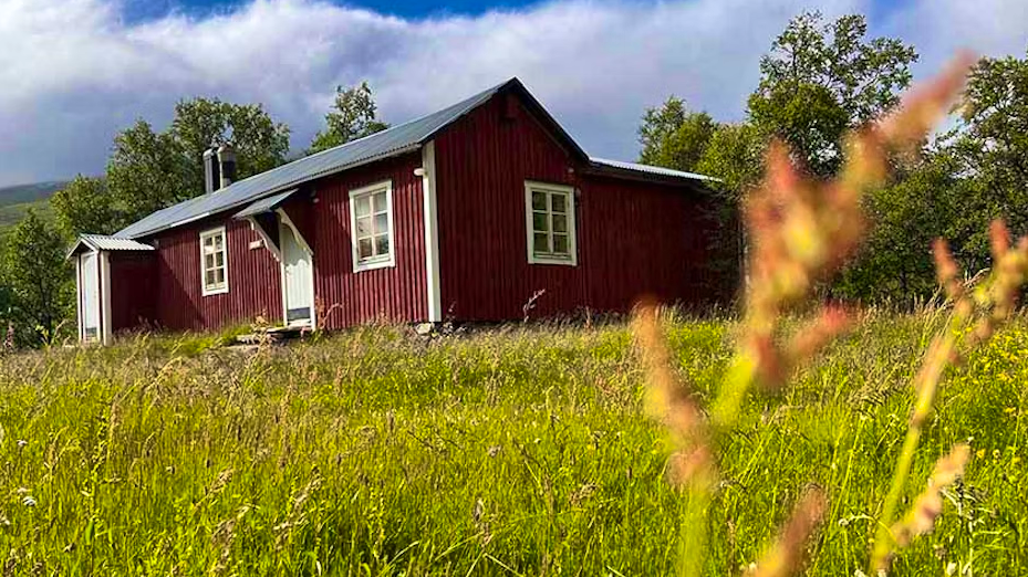 Red wooden cabin surrounded by tall grass and trees in a rural landscape.