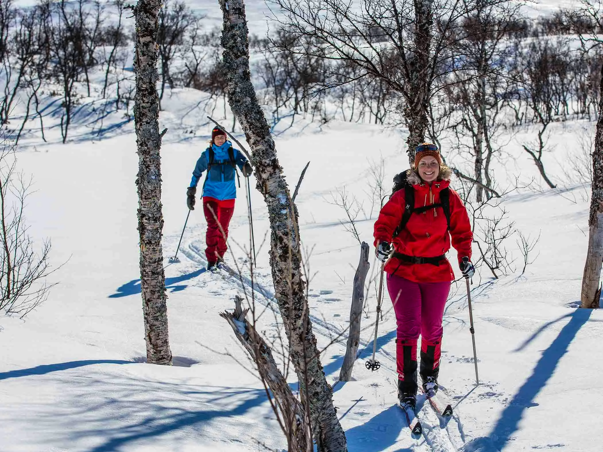Two people cross-country skiing through a snowy forest.