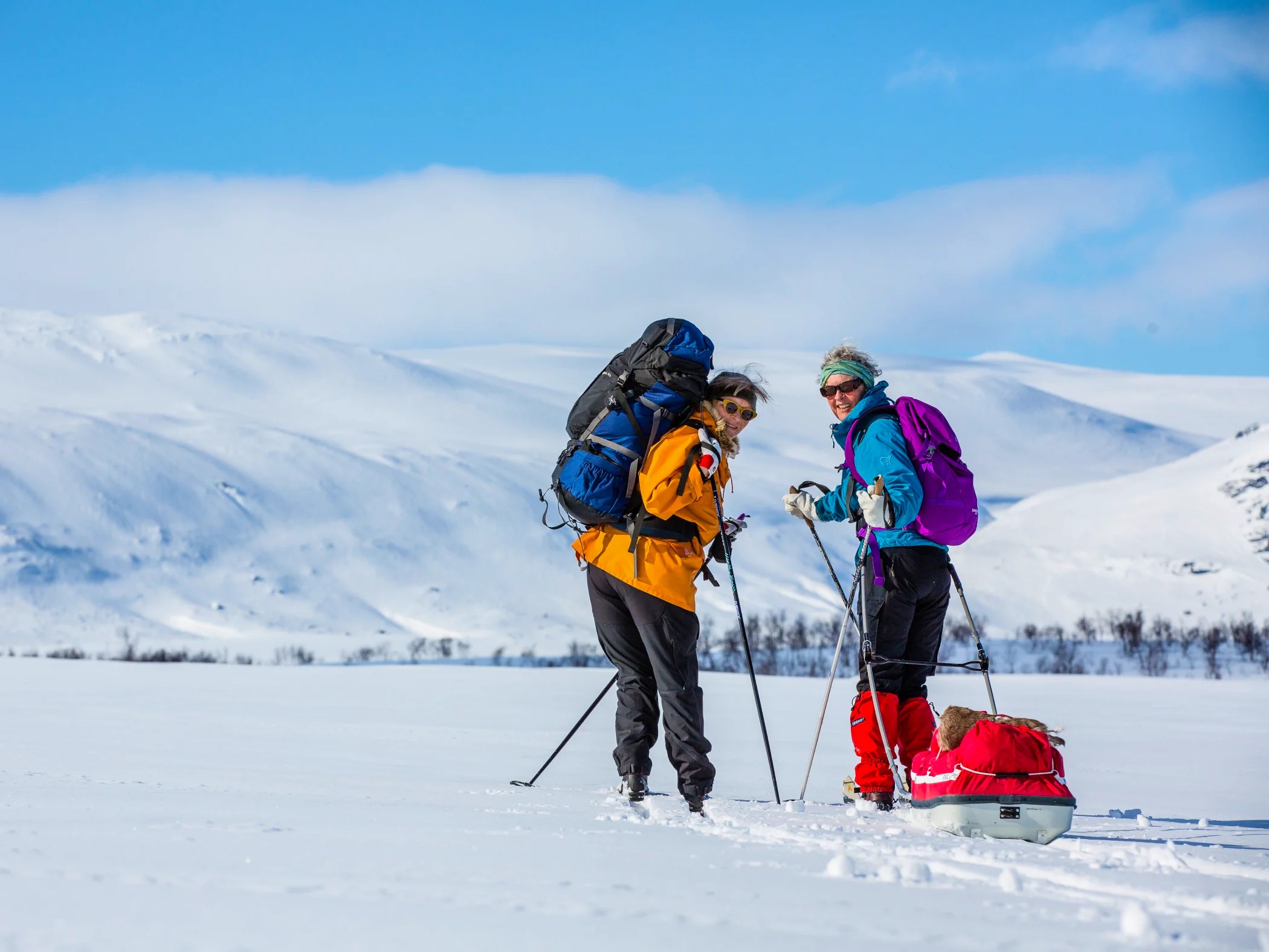 Two elder women doing backcountry skiing in the mountains with a pulk.