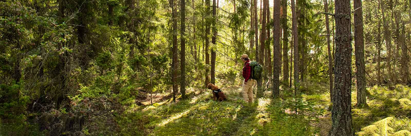 A man and his dog hiking in the forest.