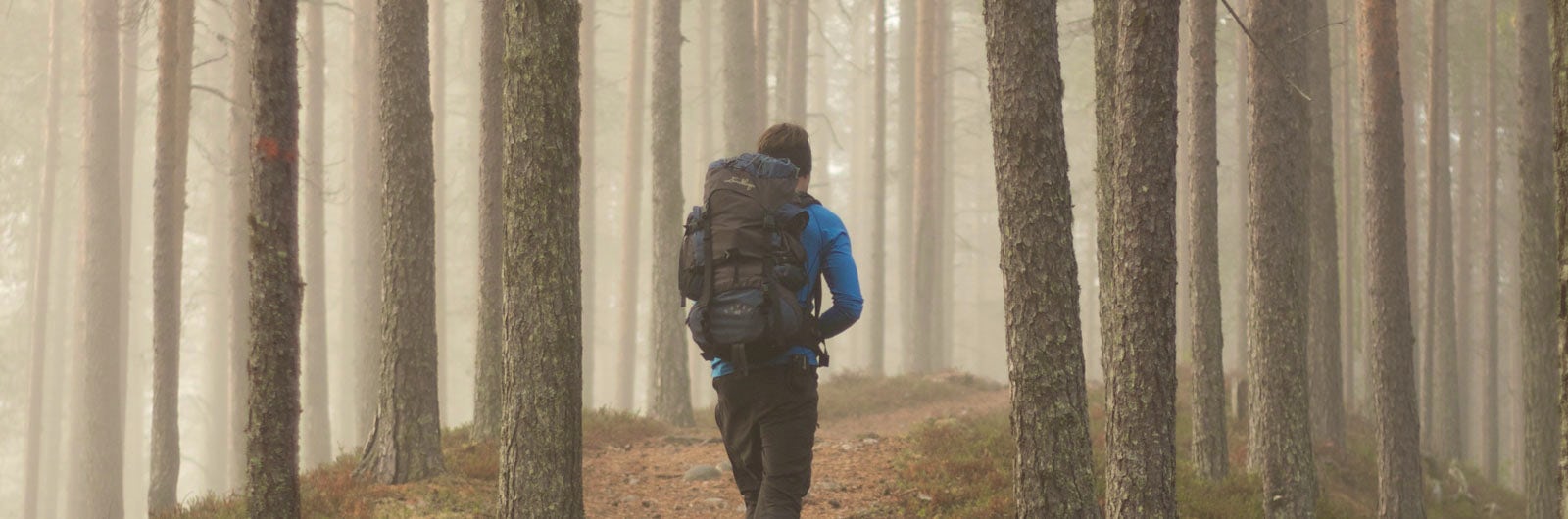 A hiker in a foggy forest.
