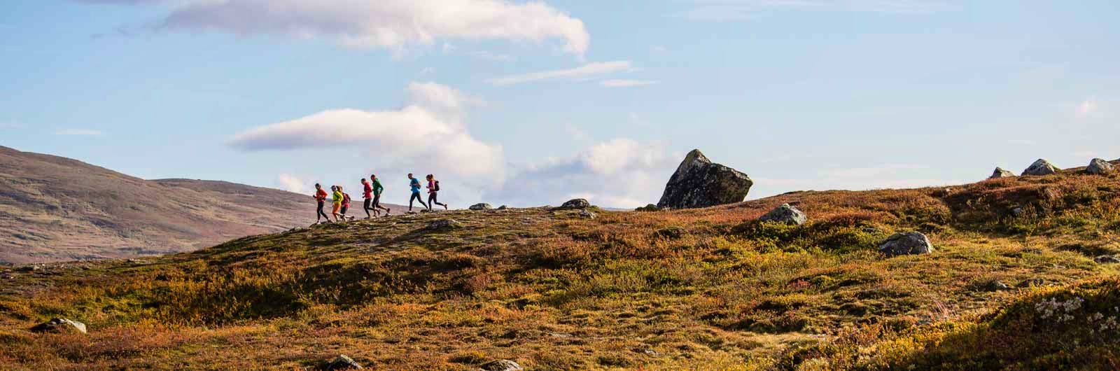 A group of runners in the autumn mountains.