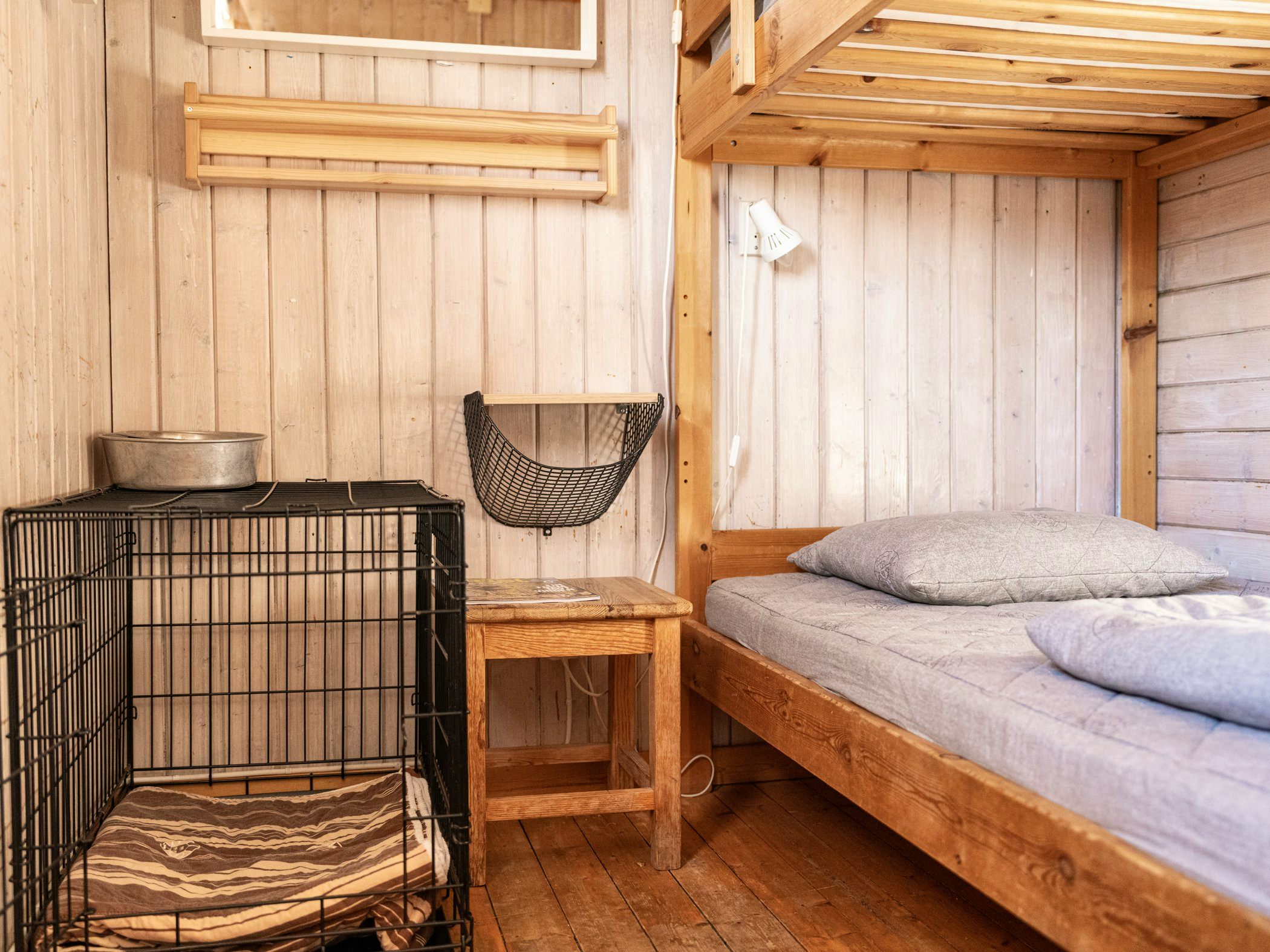 Blåhammaren dog room