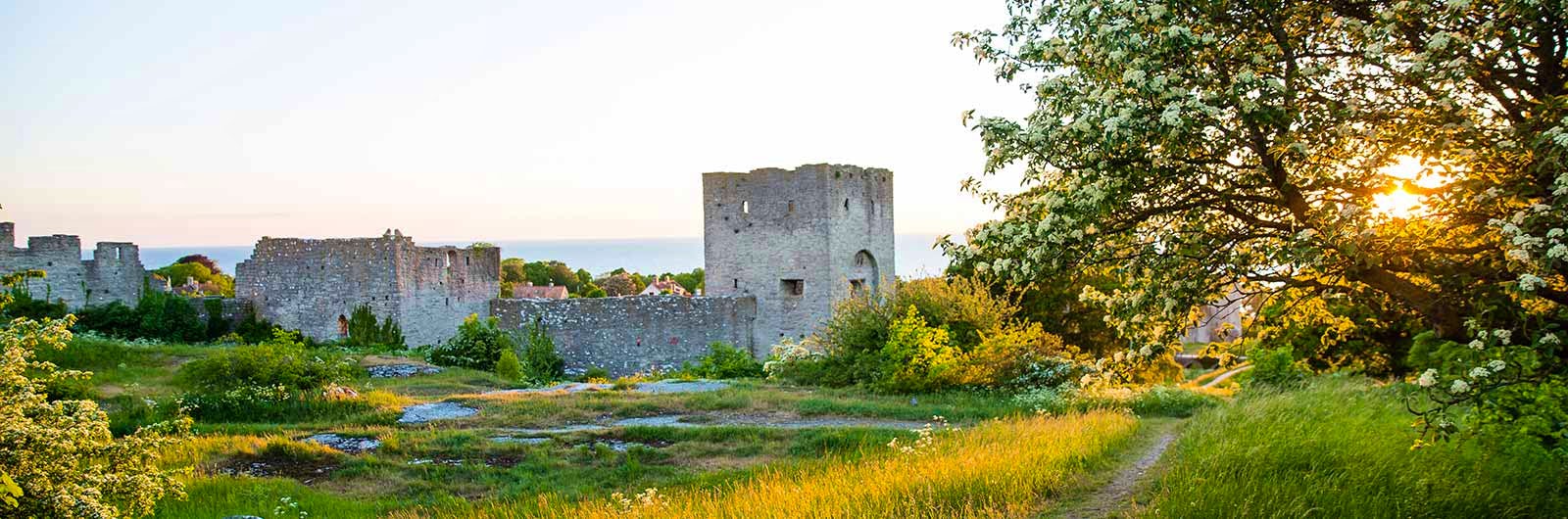 Beautiful ruin on Gotland.