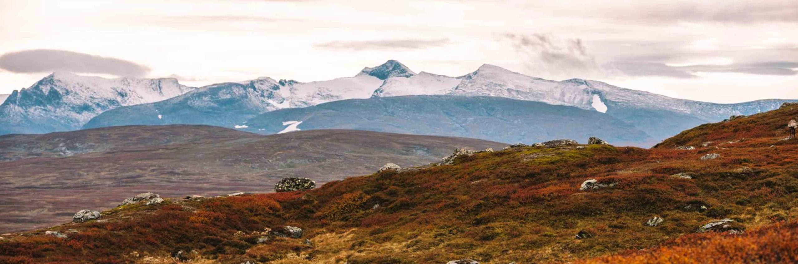 View of the Helags mountains in Swedish Lapland, with snow-covered peaks and autumn-colored tundra in the foreground.