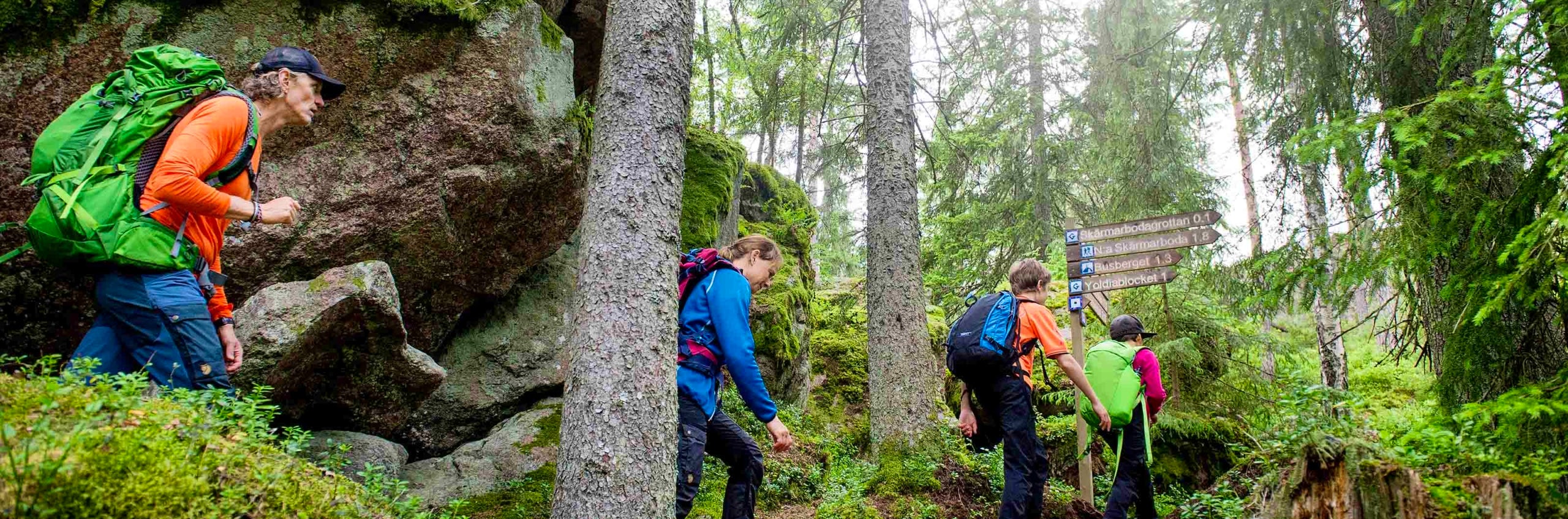 Family hiking in the forest.