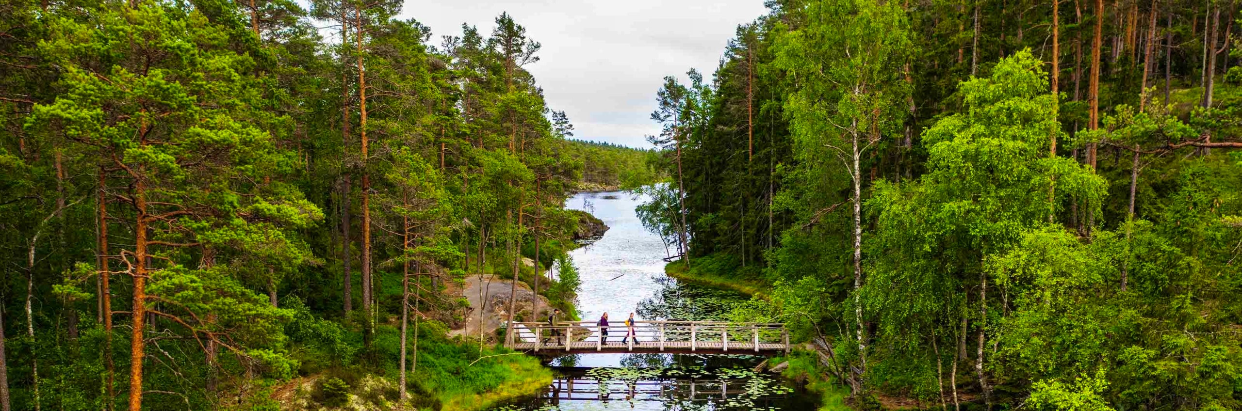 Två människor på en bro i grönskande landskap.