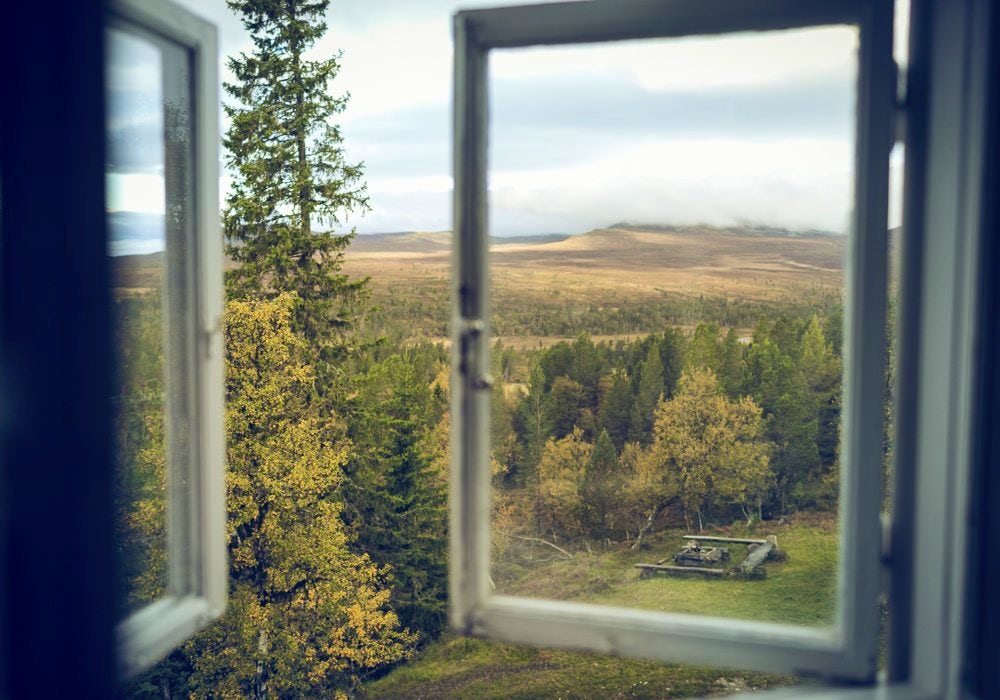 A view of a forest and the mountains from a window.