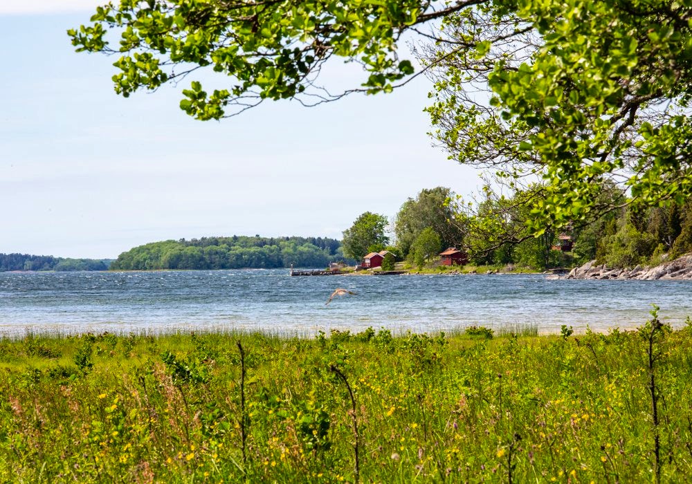 Archipelago of Stockholm.