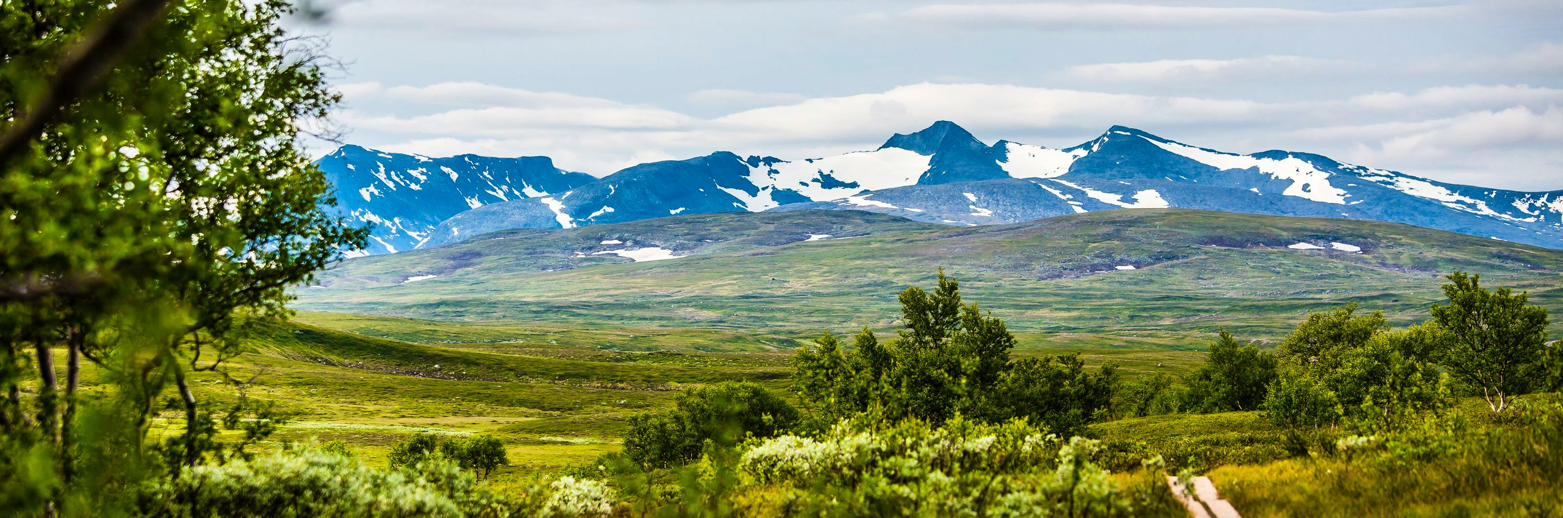 Landscape with mountains and trees.