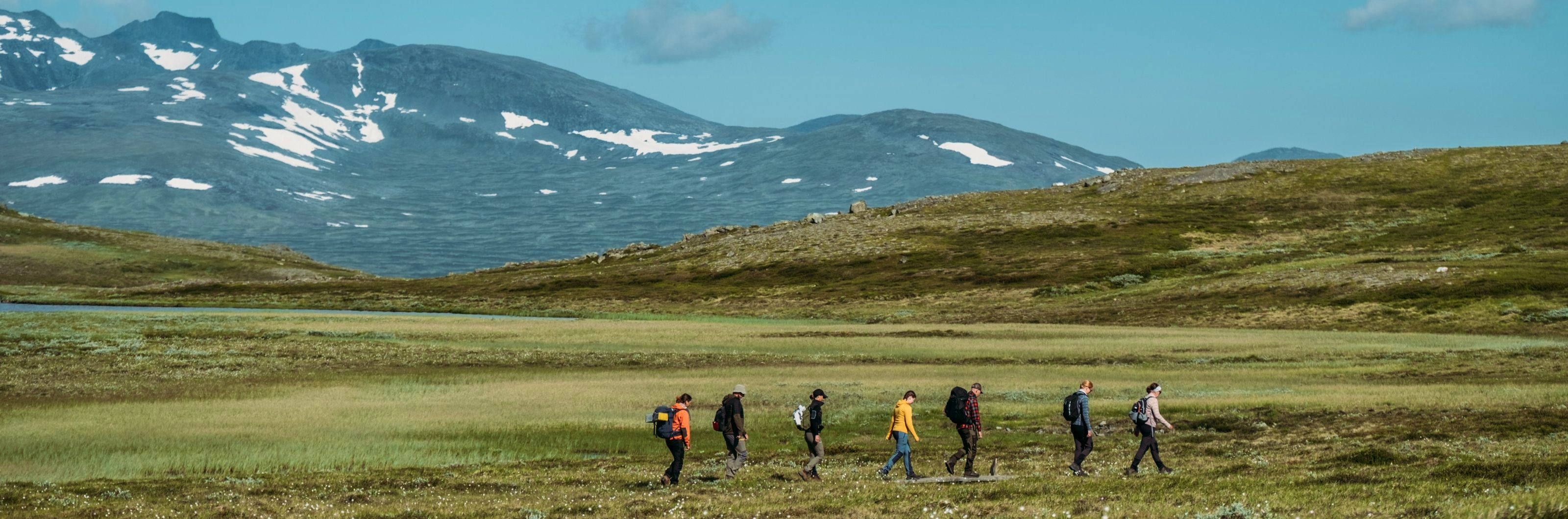 A group of people hiking in the mountains around Helags.