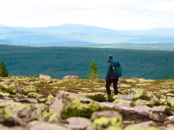 A woman with a backpack hiking on the high mountain plateau in Fulufjället National Park.