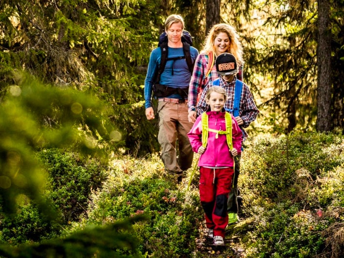 Fyra personer, två vuxna och två barn, vandrar på en skogsstig.