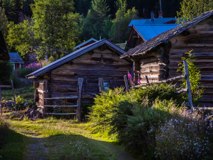 Wooden houses in the greenery of Signaturled Siljan.
