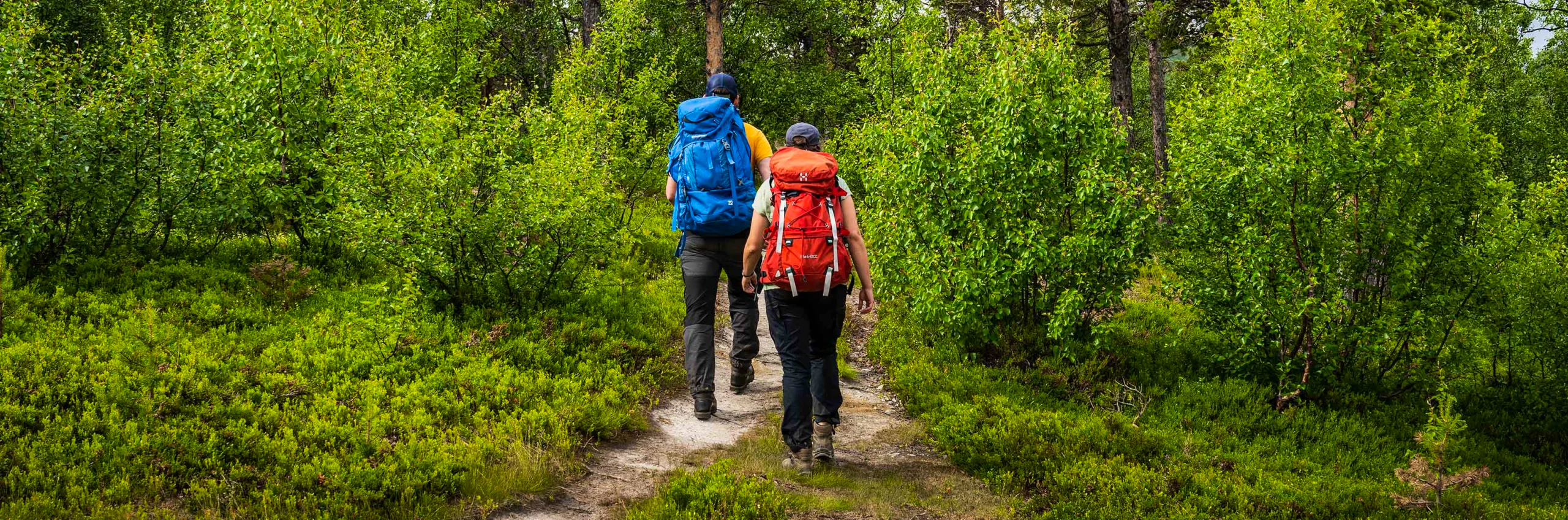 Two hikers walking on a forest trail with backpacks.