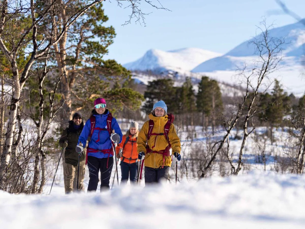 Group on a Nordic ski tour in a winter landscape.