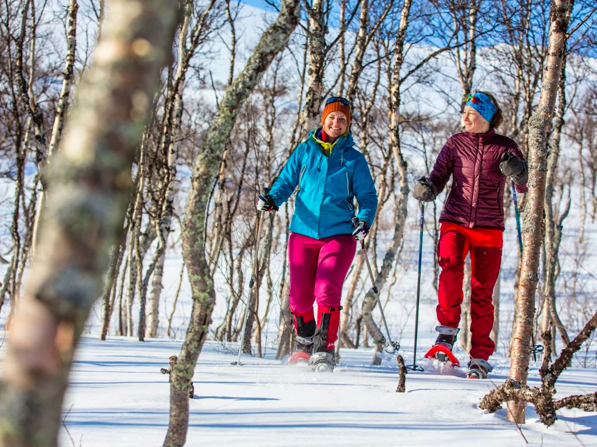 Two people snowshoeing through a birch forest in a winter landscape.
