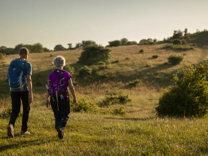 Two people walking across a heath.
