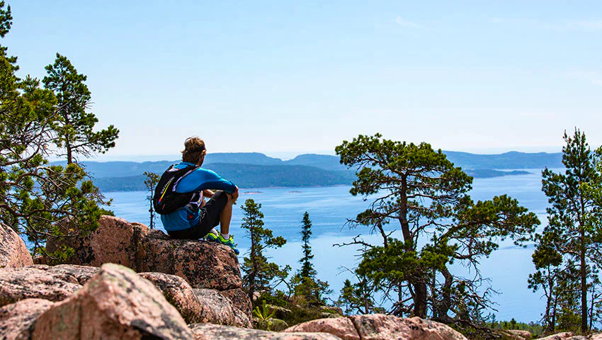 View over the High Coast.