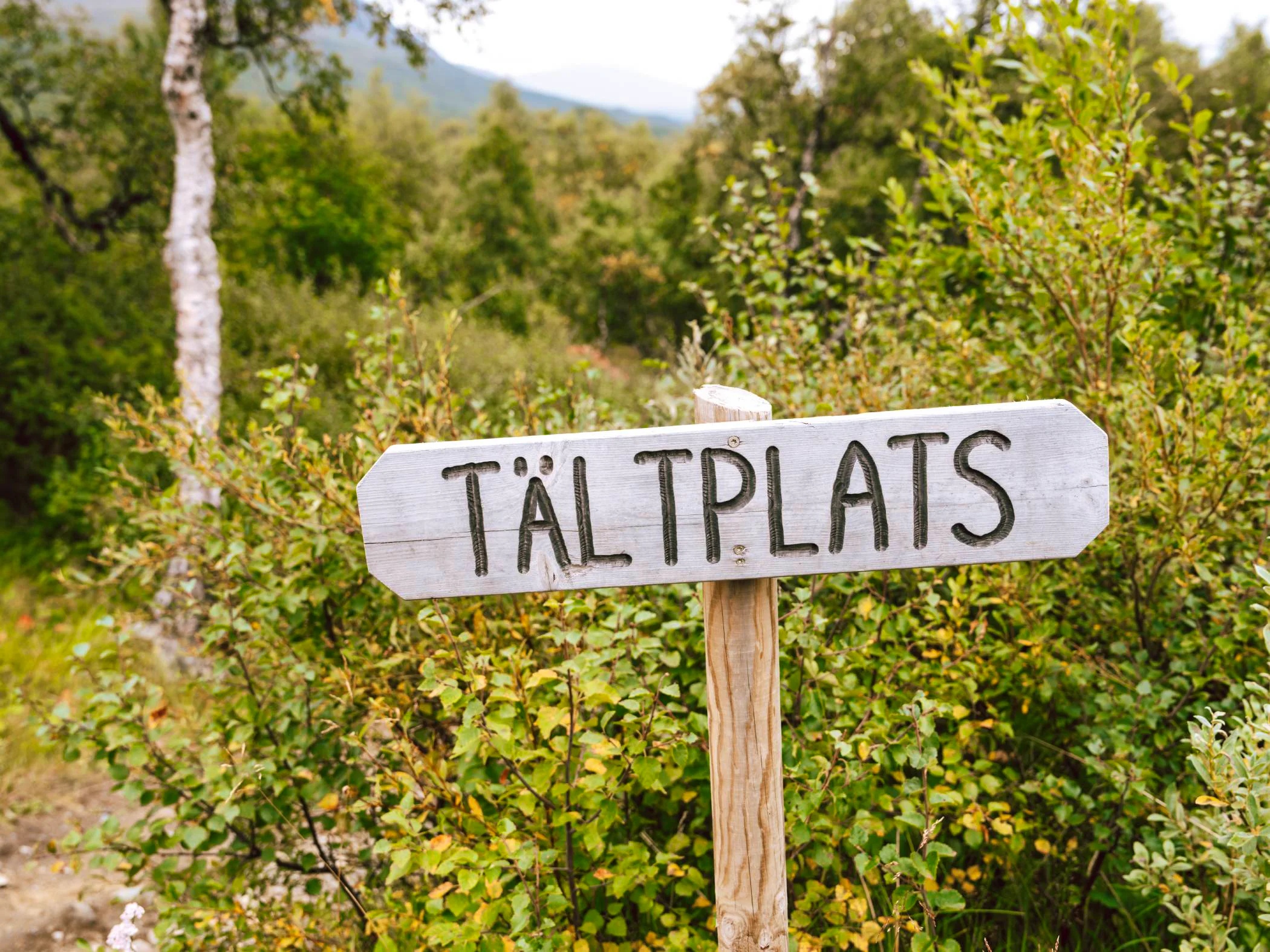 A sign for a place to set up a tent for camp at Kebnekaise.
